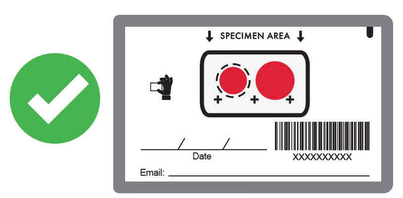 Acceptable blood spot sample with green checkmark