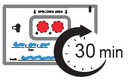 Specimen card drying for 30 minutes